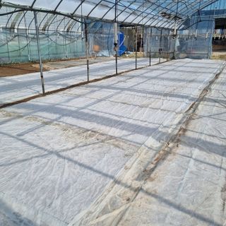 오학봉(멀티팜)님의 벼 · 영농일지 작성글 사진