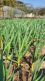 박희정님의 작성글 사진