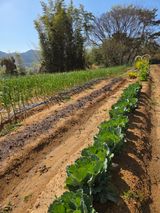한병훈님의 작성글 사진