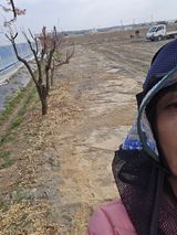 비타민님의 작성글 사진