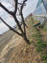 비타민님의 작성글 사진