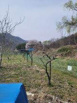 팜모닝 기타작물·영농일지 게시글 이미지