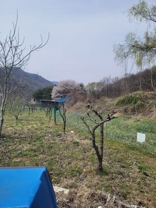 하태훈님의 기타작물 · 영농일지 작성글 사진