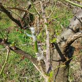 섬진강님의 작성글 사진