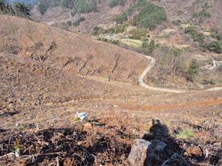 황매산신령님의 기타작물 · 영농일지 작성글 사진