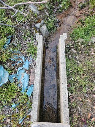 서정훈 님의 기타작물 · 영농일지 작성글 사진