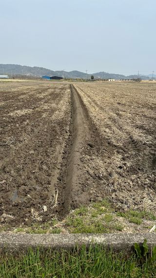 씨와님의 기타작물 · 영농일지 작성글 사진