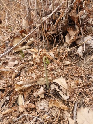 성은모님의 기타작물 · 영농일지 작성글 사진