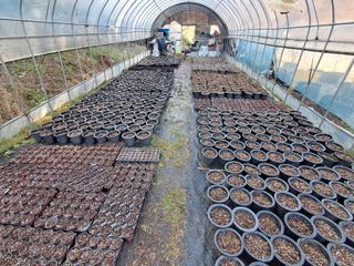 주일현님의 블루베리 · 영농일지 작성글 사진