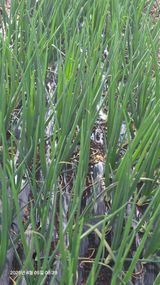 박용열조물주님 님의 작성글 사진