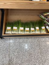 김영완님의 작성글 사진