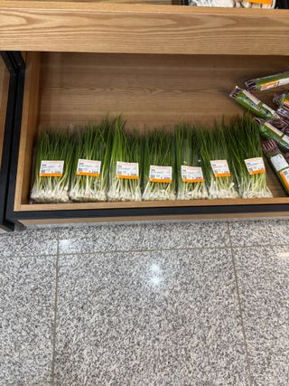 김영완님의 파 · 영농일지 작성글 사진