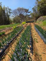 한병훈님의 작성글 사진