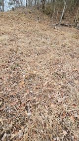 임상근님의 작성글 사진