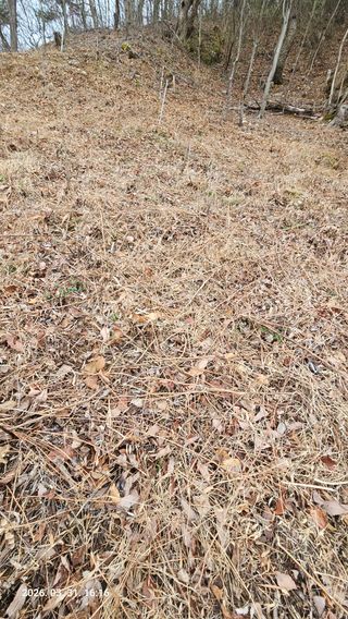 임상근님의 기타작물 · 영농일지 작성글 사진