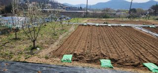 알 수 없음님의 작성글 사진