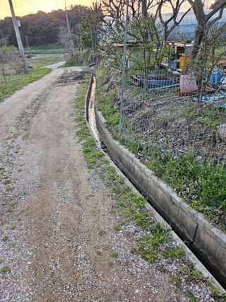 서정훈 님의 기타작물 · 영농일지 작성글 사진
