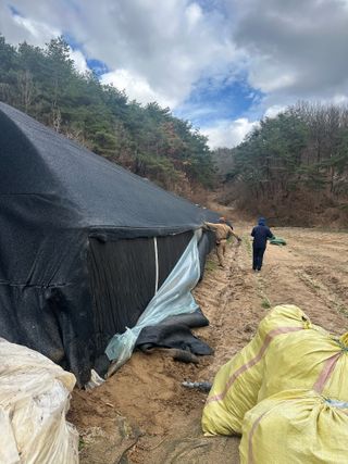 임영택님의 기타작물 · 영농일지 작성글 사진