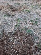 배현미님의 작성글 사진