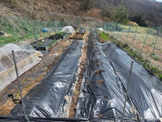 오세창님의 작성글 사진