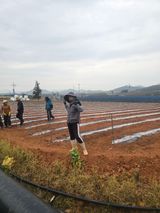 팜모닝 기타작물·영농일지 게시글 이미지