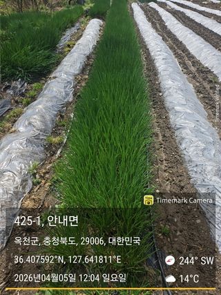 찔레골 양봉 농원님의 기타작물 · 영농일지 작성글 사진