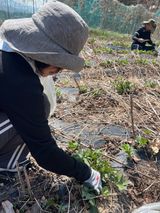 이종애님의 작성글 사진