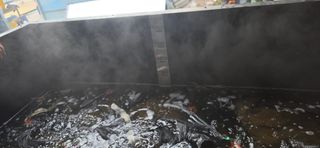 강연수님의 벼 · 영농일지 작성글 사진