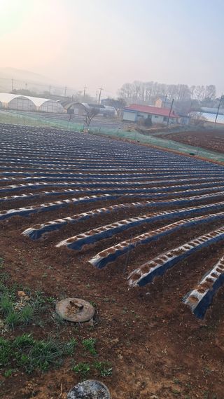 bpjh9173님의 기타작물 · 영농일지 작성글 사진