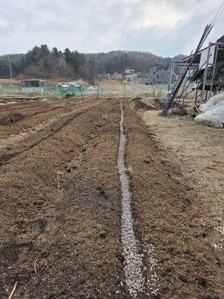 김윤회님의 기타작물 · 영농일지 작성글 사진
