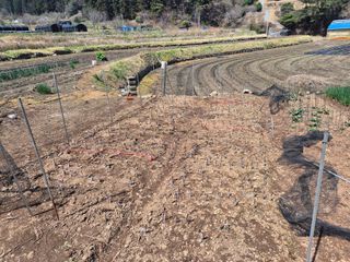 님의 감 · 영농일지 작성글 사진