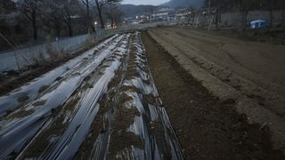 홍성관님의 기타작물 · 영농일지 작성글 사진