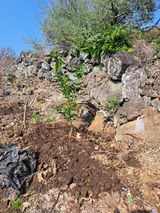 한림한경님의 작성글 사진