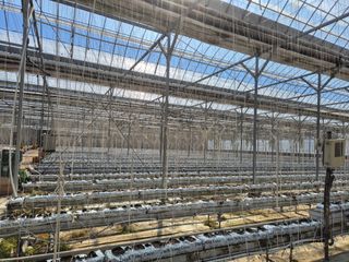 늘햇살팜 님의 기타작물 · 영농일지 작성글 사진