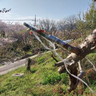 섬진강님의 작성글 사진