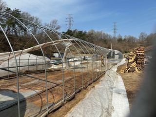 임영택님의 기타작물 · 영농일지 작성글 사진