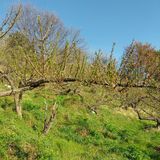 섬진강님의 작성글 사진