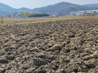 넥스젠님의 벼 · 영농일지 작성글 사진