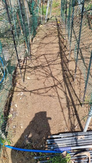 권혁렬님의 기타작물 · 영농일지 작성글 사진
