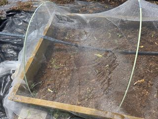 오세창님의 감자 · 영농일지 작성글 사진