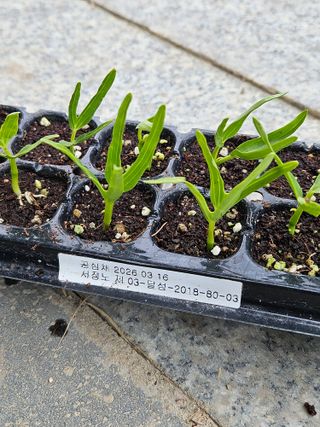 김해열님의 기타작물 · 영농일지 작성글 사진