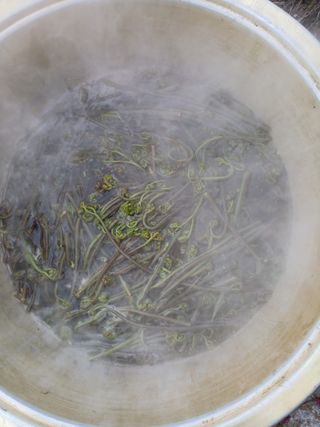 김명자님의 기타작물 · 영농일지 작성글 사진