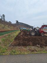 팜모닝 기타작물·영농일지 게시글 이미지