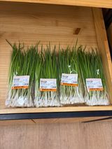 팜모닝 파·영농일지 게시글 이미지