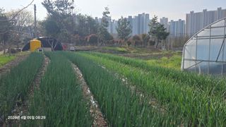 박용열조물주님 님의 기타작물 · 영농일지 작성글 사진