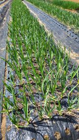 박희정님의 작성글 사진