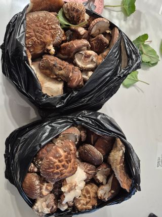 엉뚱님의 기타작물 · 영농일지 작성글 사진