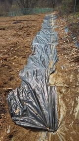  조약돌님의 작성글 사진