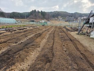 김윤회님의 기타작물 · 영농일지 작성글 사진