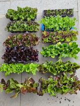 김해열님의 작성글 사진